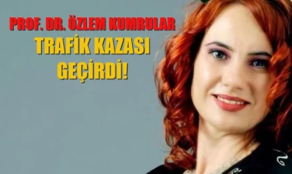 Prof. Dr. Özlem Kumrular İsviçre'de trafik kazası geçirdi