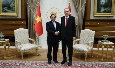 Cumhurbaşkanı Erdoğan, Vietnam Başbakanı Pham'ı kabul etti